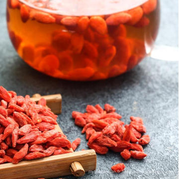 vente chaude goji prix